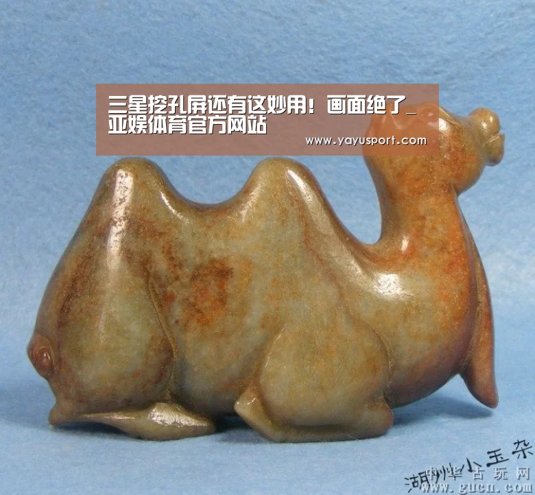 亚娱体育体育