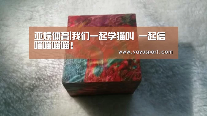 亚娱体育|我们一起学猫叫 一起信喵喵喵喵!(图3) 亚娱体育体育官网