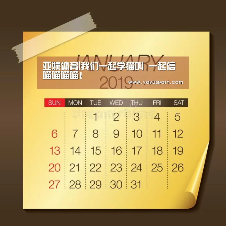 亚娱体育|我们一起学猫叫 一起信喵喵喵喵!(图4) 亚娱体育
