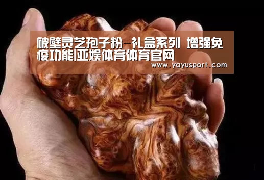 破壁灵芝孢子粉-礼盒系列 增强免疫功能|亚娱体育体育官网(图3) 亚娱体育体育